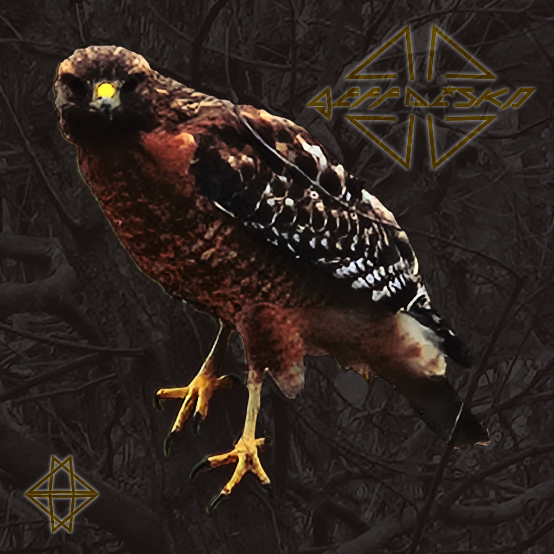 Red Shoulder album cover
